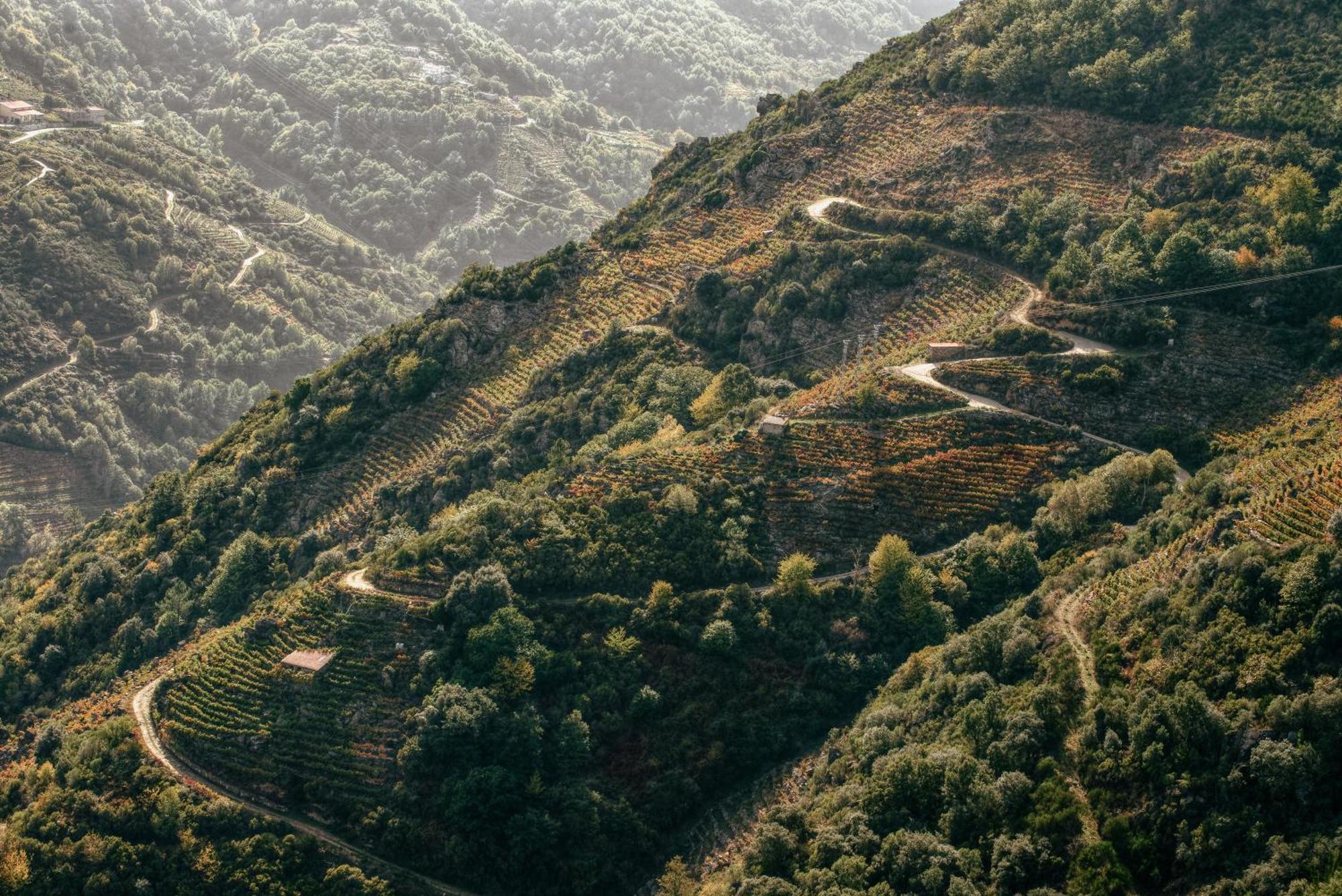 Casinas Do Sil Konuk evi Cristosende Dış mekan fotoğraf