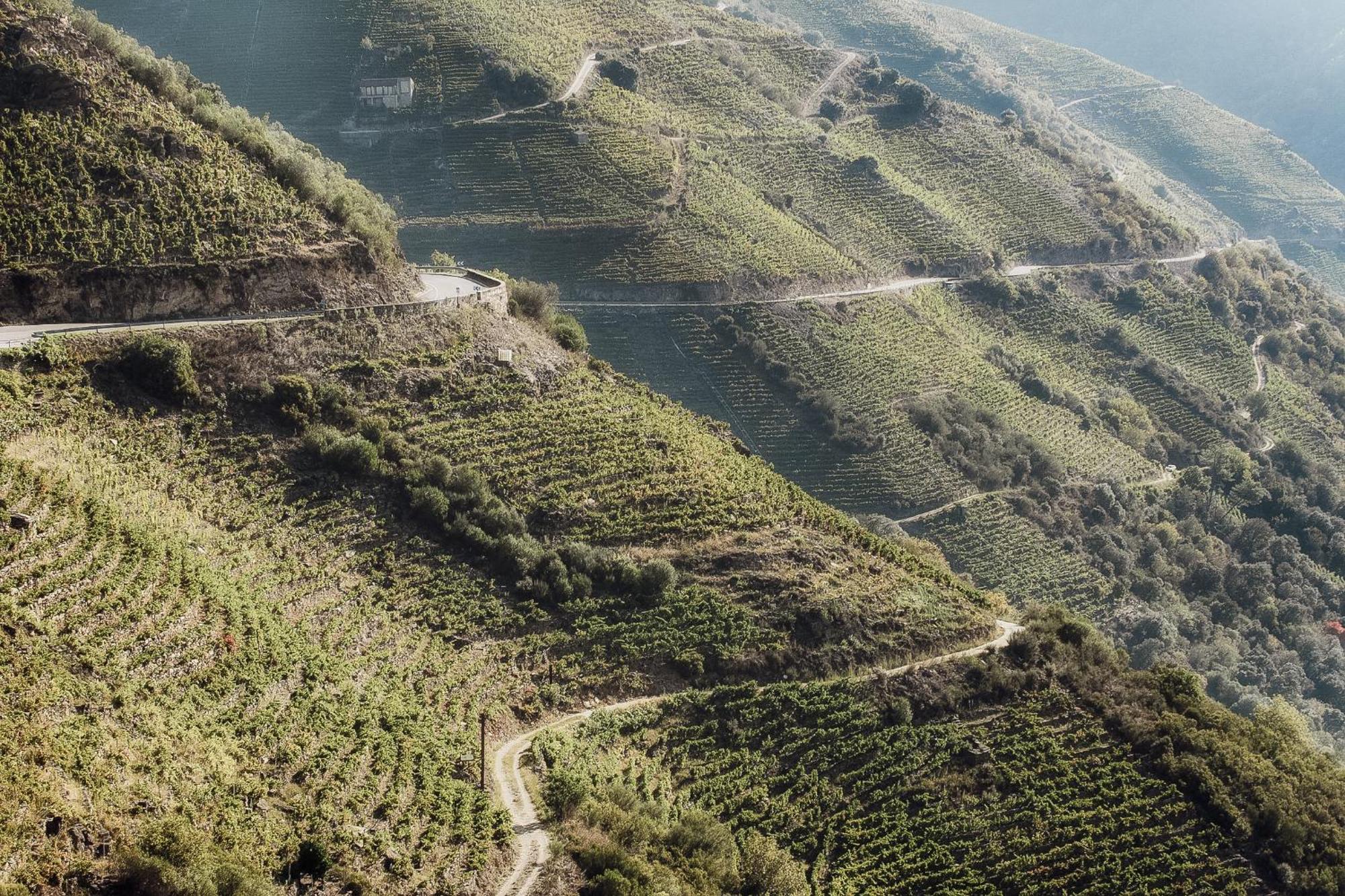 Casinas Do Sil Konuk evi Cristosende Dış mekan fotoğraf